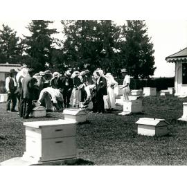First Apiary School, January 1916 [Hawkesbury Agricultural College (HAC)]