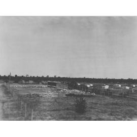 Semi-intensive poultry houses [Hawkesbury Agricultural College (HAC)]