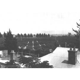 Looking across the orchard from the Western tower - looking towards the Blue Mountains [Hawkesbury Agricultural College (HAC)]