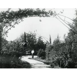 The Garden - Man standing in the shrubbery [Hawkesbury Agricultural College (HAC)]