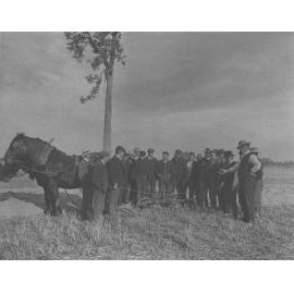 Winter School for Farmers, 1914 - Ploughing with a two-horse team, practical class [Hawkesbury Agricultural College (HAC)]