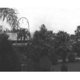 Quadrangle - good growth of vegetation [Hawkesbury Agricultural College (HAC)]