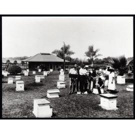 Apiary students examining honeycomb frames [Hawkesbury Agricultural College (HAC)] - Print 2 of 2 - Cropped