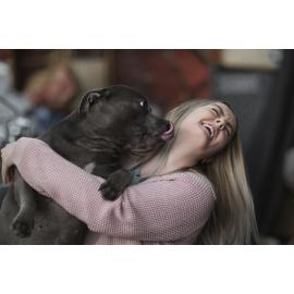 Connections, Gabby - Castlereagh, 2020 