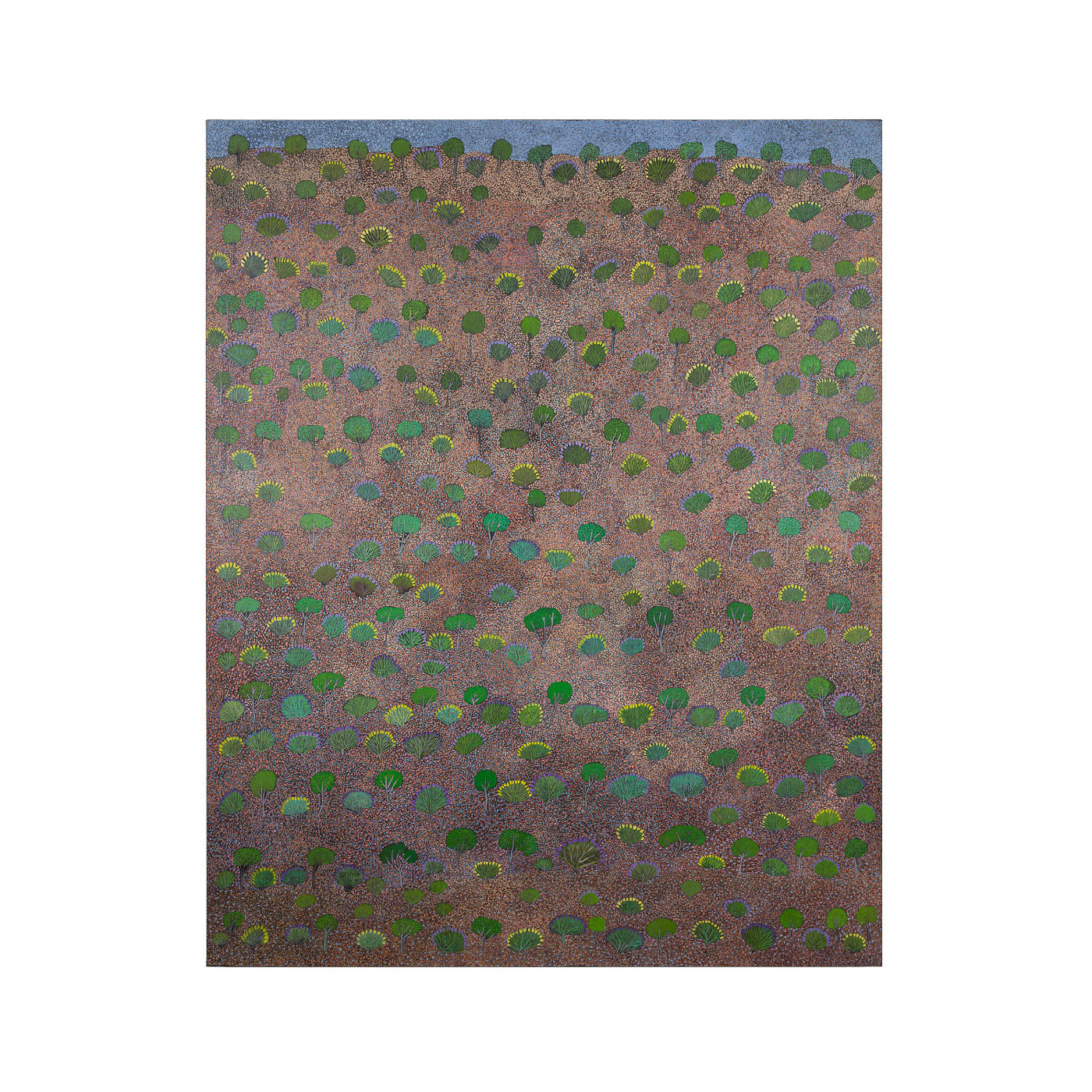 Bush Medicine Country