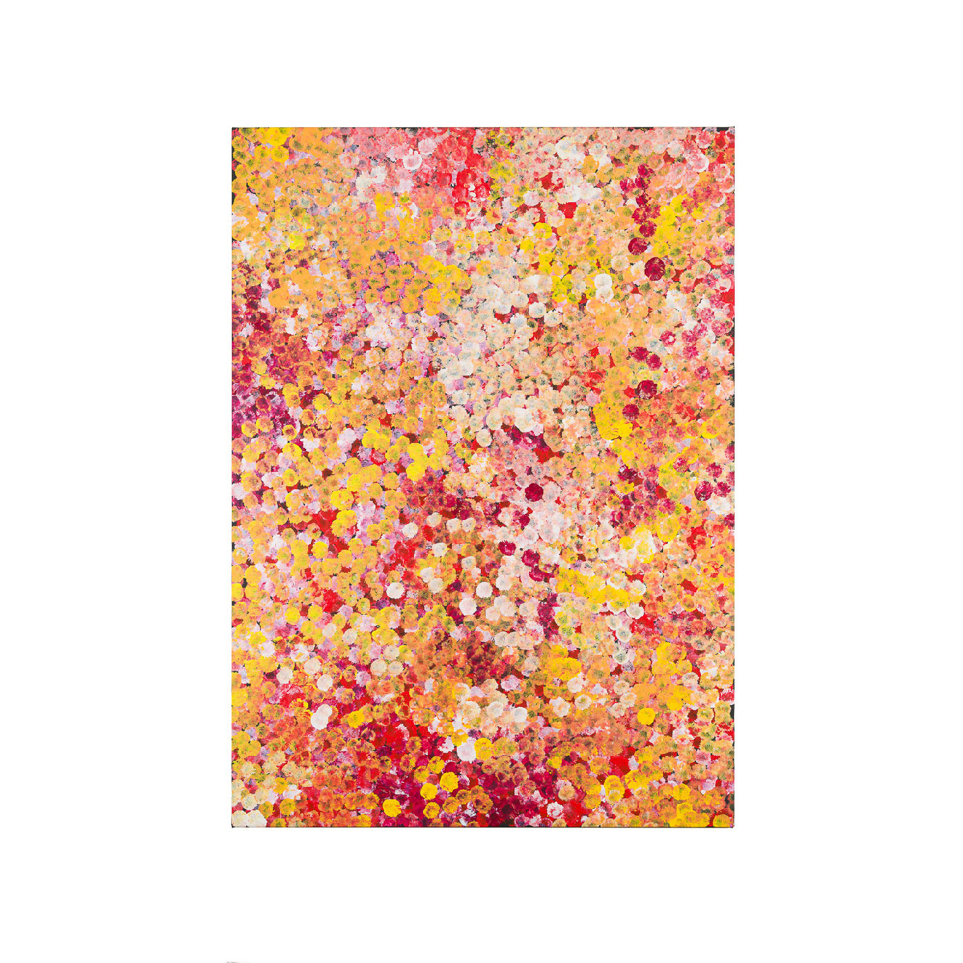 Bush Plum