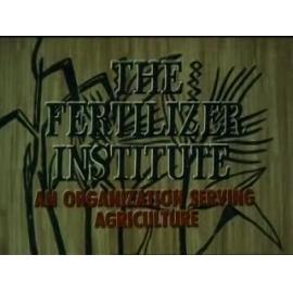 Film - Making the most of a miracle