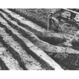 Close up of furrows of ploughed earth [Hawkesbury Agricultural College (HAC)]