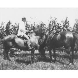 Mounted horseman in field next to another saddled horse [Hawkesbury Agricultural College (HAC)]