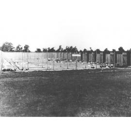 Poultry - Rearing pens [Hawkesbury Agricultural College (HAC)]