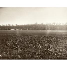 River Farm (early scene) showing paddocks and buildings in the background [Hawkesbury Agricultural College (HAC)]