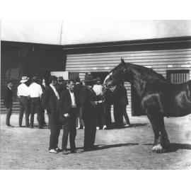 Students and horses in Stable Square [Hawkesbury Agricultural College (HAC)]
