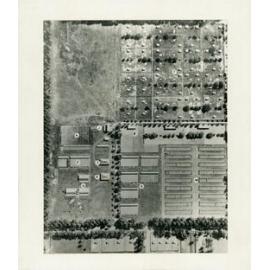 Aerial photograph - Poultry Section of the College (2 prints) [Hawkesbury Agricultural College (HAC)]