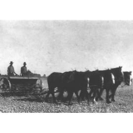Two men standing on a seed drill, sowing seed, pulled by a five-horse team [Hawkesbury Agricultural College (HAC)]