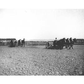 Two men working two four-horse teams, sowing seed with a seed drill [Hawkesbury Agricultural College (HAC)]