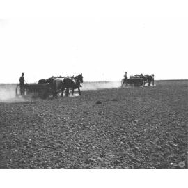 Two men working two four-horse teams, sowing seed with a seed drill [Hawkesbury Agricultural College (HAC)]