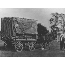Loaded goods wagon hitched to two horses with a man standing nearby [Hawkesbury Agricultural College (HAC)]