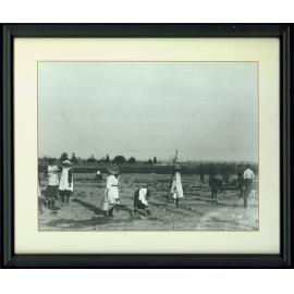 Children working in a garden area [Hawkesbury Agricultural College (HAC)]
