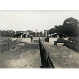 Concrete pig pens [Hawkesbury Agricultural College (HAC)]