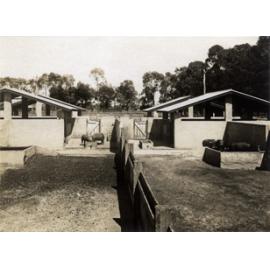 Concrete pig pens [Hawkesbury Agricultural College (HAC)]