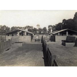 Concrete pig pens [Hawkesbury Agricultural College (HAC)]