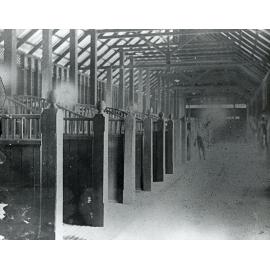 Interior scene in stables showing horse stalls (Print 1 of 2 - Cropped on right) [Hawkesbury Agricultural College (HAC)]