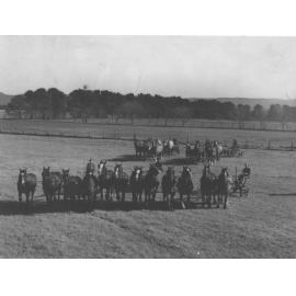 Three four-horse teams (foreground) and five & six-horse teams (behind) with ploughs [Hawkesbury Agricultural College (HAC)]