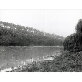 Hawkesbury River at River Farm (Cropped) [Hawkesbury Agricultural College (HAC)]