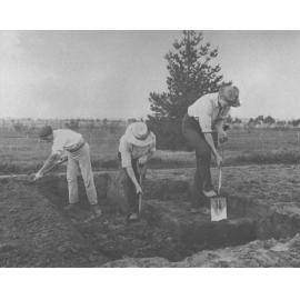 Students digging - trenching (1 of 2) - Hawkesbury Agricultural College
