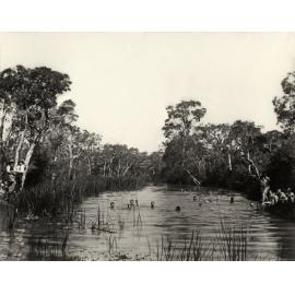 Students swimming in Rickaby's Creek which was on the Eastern side of the College [Hawkesbury Agricultural College (HAC)]