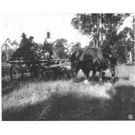 Three men sitting on logs of wood stacked on a wagon drawn by two horses [Hawkesbury Agricultural College (HAC)]