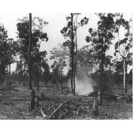 Land clearing - burning off [Hawkesbury Agricultural College (HAC)]