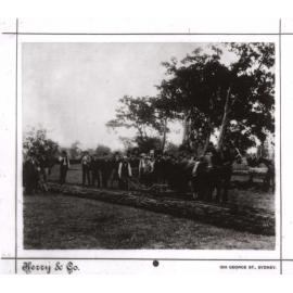 Mr Sydney Smith turning first furrow in College, 1891 (print 3 of 3) [Hawkesbury Agricultural College (HAC)]