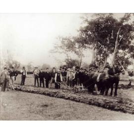Mr Sydney Smith turning first furrow in College, 1891 [Hawkesbury Agricultural College (HAC)] - Print 1 of 3 - Uncropped