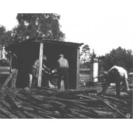 Sawmill - Sawing timber (for firewood) [Hawkesbury Agricultural College (HAC)]