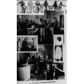 Dairy manufacture - composite image of various tasks associated with dairying including a classroom [Hawkesbury Agricultural College (HAC)]