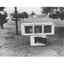 Poultry - Egg laying boxes [Hawkesbury Agricultural College (HAC)]