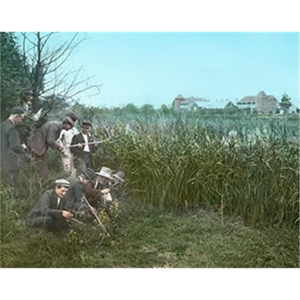 Magic Lantern Slides (HAC)