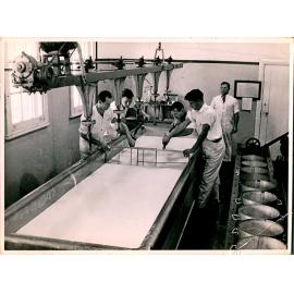 Cheese making in the Dairy factory
