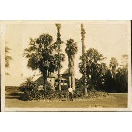 Fairy Circle and Administration Building (student standing in the Fairy Circle) - Apr 1936 [Hawkesbury Agricultural College (HAC)]