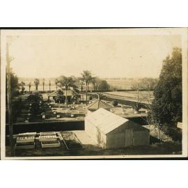 Apiary [Hawkesbury Agricultural College (HAC)]