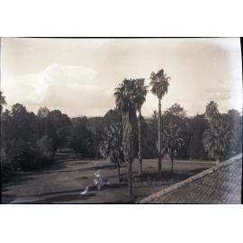 Fairy Circle from the Administration Building [Hawkesbury Agricultural College (HAC)]
