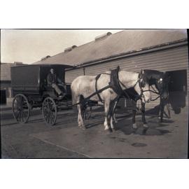 Carriage with two Horses in Stable Square [Hawkesbury Agricultural College (HAC)]