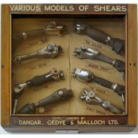 Display Case - Sheep Shears - Dangar, Gedye & Malloch Ltd