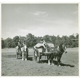 Horses and carts - Picture by JA Sherlock at HAC for "New Horizons" in "Nation builders"