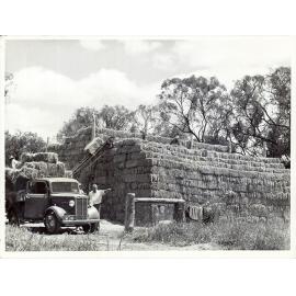 Baled Wimmera rye at Allan McCormack's Dorset stud Leeton - WR Watkins in foreground