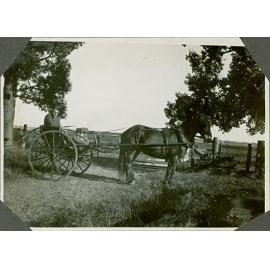 Horse & buggy carrying unknown male