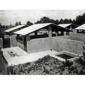 Piggery - Pigsties and concrete pens [Hawkesbury Agricultural College (HAC)]