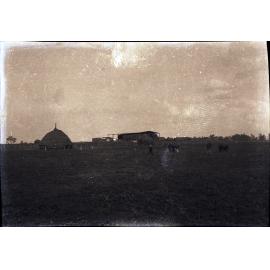 Beehive haystack (Roseworthy College, South Australia)