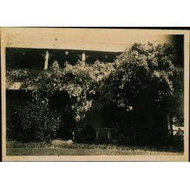 House at Alne Banks (Gerringong)